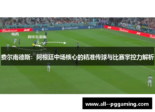费尔南德斯：阿根廷中场核心的精准传球与比赛掌控力解析